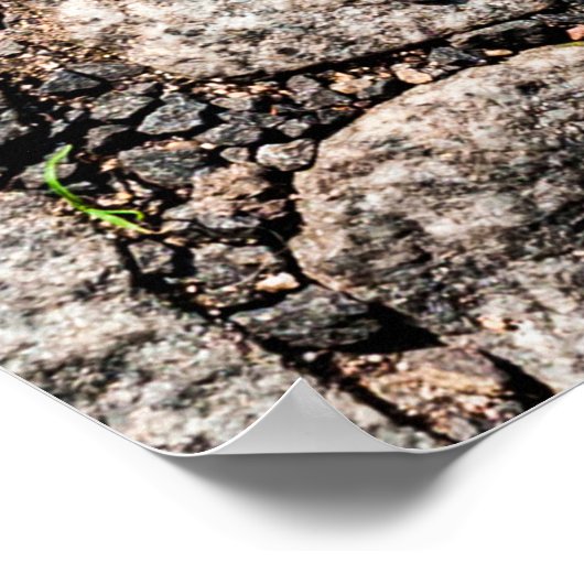 Altes Pflastersteingebäude an der Straße, anc Poster (Ecke)