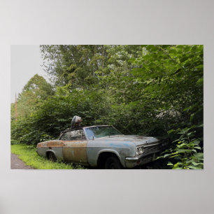 Altes Plakat für abandonierte Autos