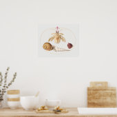 Altes Poster mit Illustrationen des Meereslebens (Küche)
