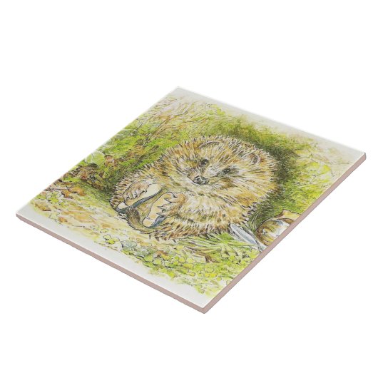 Altes Prickly Button (Igel) (von Beatrix Potter) Fliese (Seite)