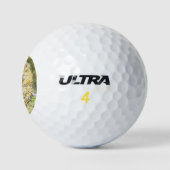 Altes Prickly Button (Igel) (von Beatrix Potter) Golfball (Logo)
