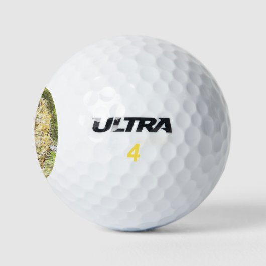 Altes Prickly Button (Igel) (von Beatrix Potter) Golfball (Logo)
