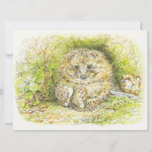 Altes Prickly Button (Igel) (von Beatrix Potter)