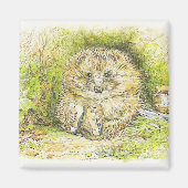 Altes Prickly Button (Igel) (von Beatrix Potter) Magnet (Vorne)