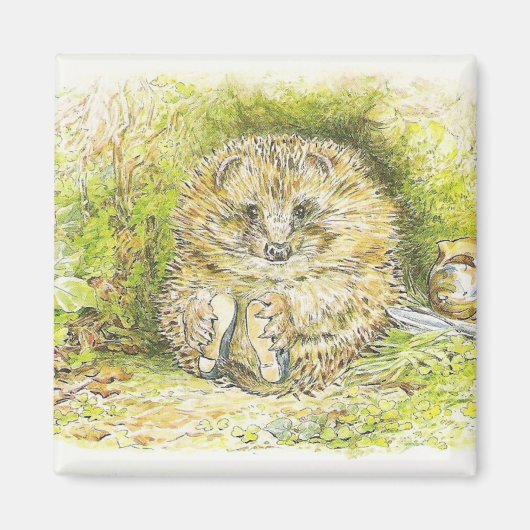 Altes Prickly Button (Igel) (von Beatrix Potter) Magnet (Vorne)
