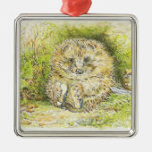Altes Prickly Button (Igel) (von Beatrix Potter) Ornament Aus Metall (Vorne)