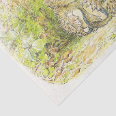 Altes Prickly Button (Igel) (von Beatrix Potter) Seidenpapier (Ausschnitt)