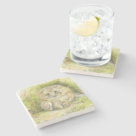 Altes Prickly Button (Igel) (von Beatrix Potter) Steinuntersetzer (Seitenansicht)