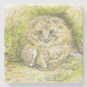 Altes Prickly Button (Igel) (von Beatrix Potter) Steinuntersetzer (Vorderseite)