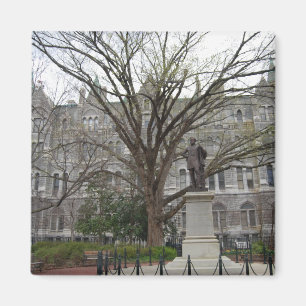 Altes Rathaus, Richmond, VA im Frühjahr Magnet