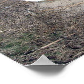 Altes Rustikales Ruderboot Poster (Ecke)