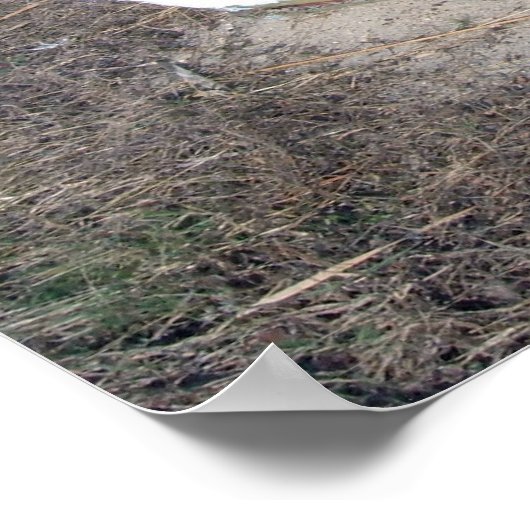 Altes Rustikales Ruderboot Poster (Ecke)