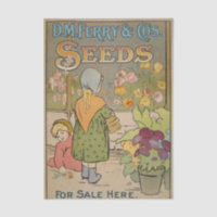 Altes Sämereien-Katalog, D.M. Ferry Seeds