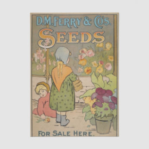 Altes Sämereien-Katalog, D.M. Ferry Seeds Seidenpapier
