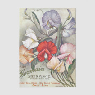 Altes Sämereien-Katalog Germain, 1910, Duftwicken  Seidenpapier