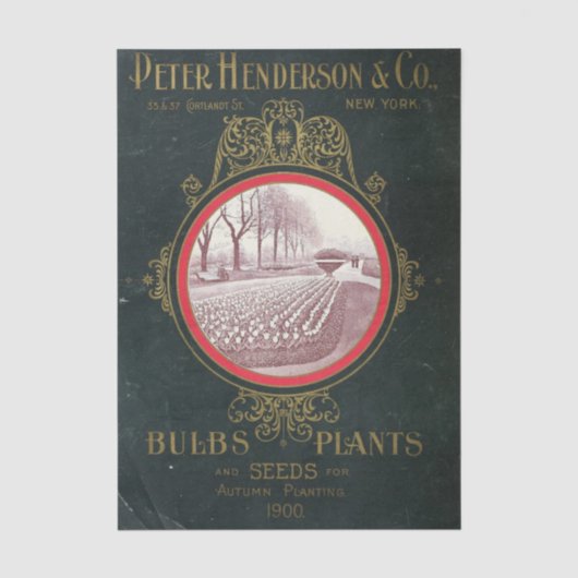 Altes Sämereikatalog Peter Henderson Co., 1900 Seidenpapier (Vorderseite)