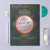 Altes Sämereikatalog Peter Henderson Co., 1900 Seidenpapier (Handwerk)