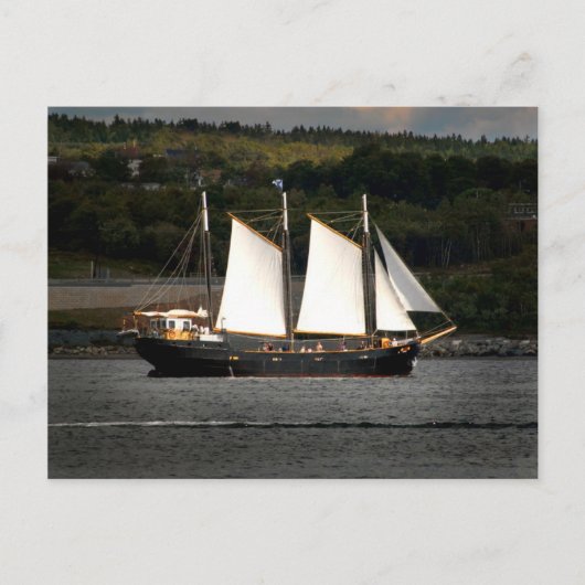 Altes Schiff Postkarte (Vorderseite)