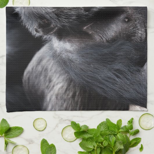 Altes Schimpansehandtuch Geschirrtuch (Gefaltet)