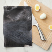 Altes Schimpansehandtuch Geschirrtuch (Viertel Falte)