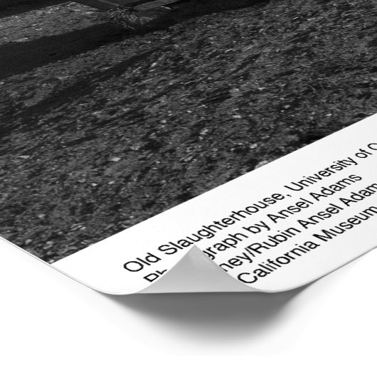 Altes Schlachthaus, UC Santa Cruz, 1963 Poster (Ecke)