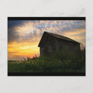 Altes Schuppen außerhalb von Gray, Saskatchewan Postkarte