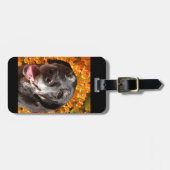 Altes schwarzes Labrador Gepäckanhänger (Vorderseite horizontal)