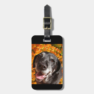 Altes schwarzes Labrador Gepäckanhänger