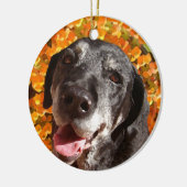 Altes schwarzes Labrador Keramik Ornament (Links)