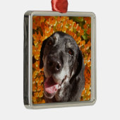 Altes schwarzes Labrador Silbernes Ornament (Rechts)