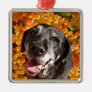 Altes schwarzes Labrador Silbernes Ornament