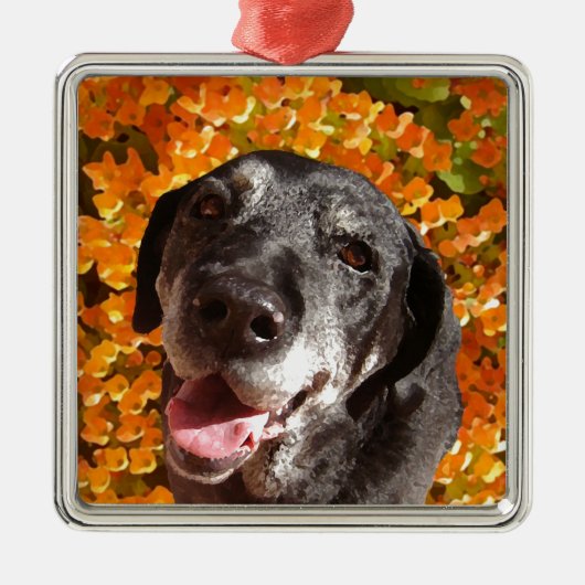 Altes schwarzes Labrador Silbernes Ornament (Vorne)