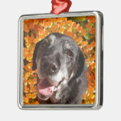 Altes schwarzes Labrador Silbernes Ornament (Links)