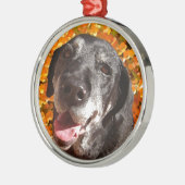 Altes schwarzes Labrador Silbernes Ornament (Links)