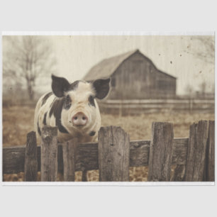 Altes Schwein auf einer Farm Decoupage Seidenpapier