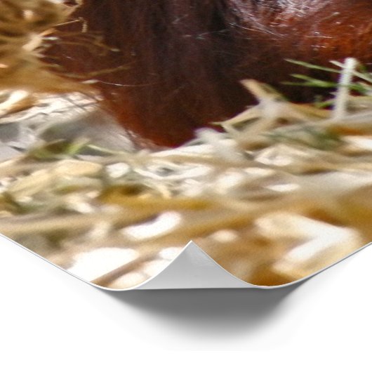 "Altes Soul" Poster (Ecke)