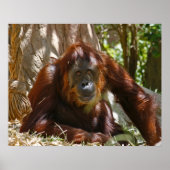 "Altes Soul" Poster (Vorne)