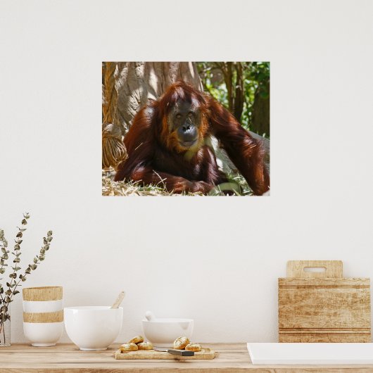 "Altes Soul" Poster (Küche)