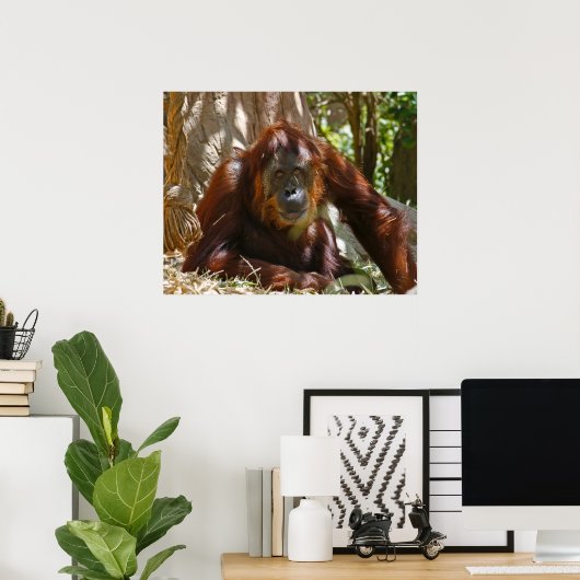 "Altes Soul" Poster (Heimbüro)