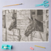 altes stabiles Pferdegewebe Seidenpapier (Basteln)