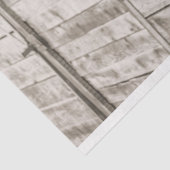 altes stabiles Pferdegewebe Seidenpapier (Ausschnitt)