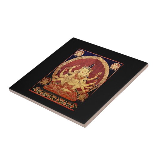 Altes tibetisches Tapestry Fliese (Seite)