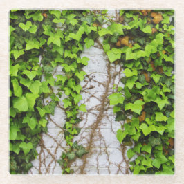 Altes und neues Wachstum Glasuntersetzer