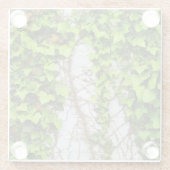 Altes und neues Wachstum Glasuntersetzer (Rückseite)