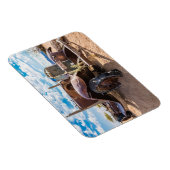 Altes und verlassenes Auto Nr. 3 in Solitaire, Nam Magnet (Rechte Seite)