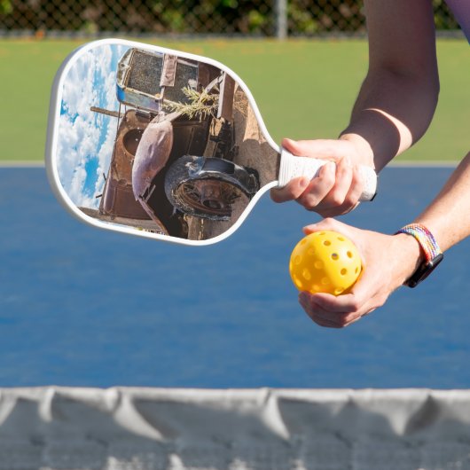 Altes und verlassenes Auto Nr. 3 in Solitaire, Nam Pickleball Schläger (InSitu)