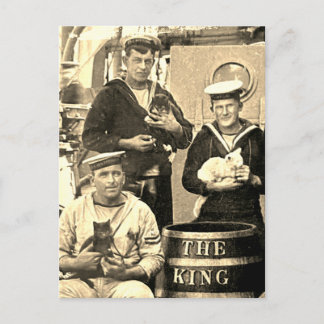 Altes Vintage-Foto 3 Matrosen halten Katzen Postkarte