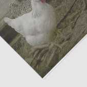 Altes Vintages Barnyard Country Chicken Seidenpapier (Ausschnitt)