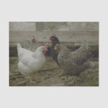 Altes Vintages Barnyard Country Chicken