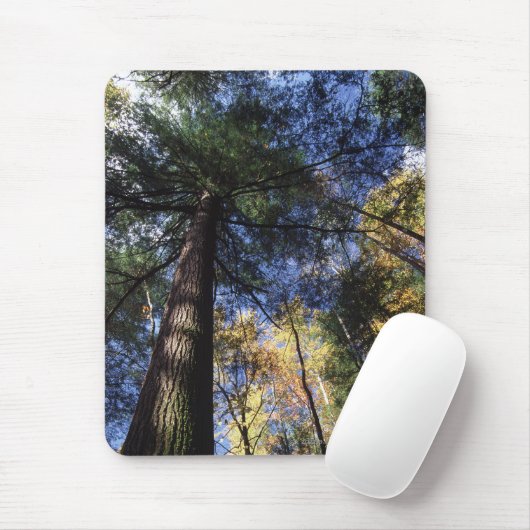 Altes Wachstums-Wald Mousepad (Mit Mouse)